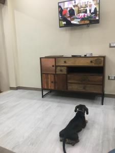 Flamingo Luxury Apartment AJPSARDINIA img50