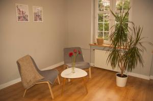 Apartament - Old Town Studio