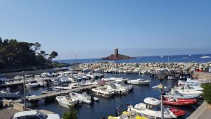 Appartements La Villa Frejus-Plage : photos des chambres