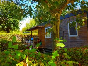 Campings Camping La Grappe Fleurie : photos des chambres