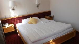 Single Room room in Hotel Bären