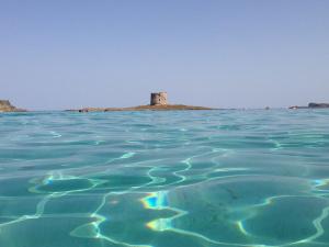 Il Mandorlo img9