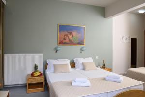 Hotel Europe Olympos Greece