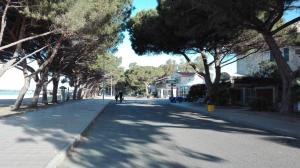 Casa vacanza S'Istella img12