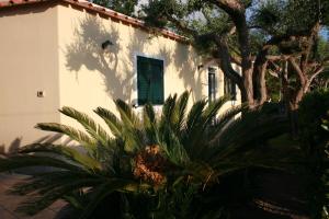 Talu Casa Vacanza Nel Verde Ischia Itaalia