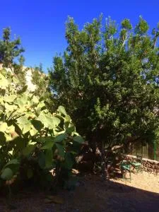 La casetta dei Mosaici - Porto Vecchio