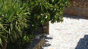 Apostolis Hotel Apartments Rhodes Greece