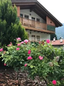 La Casa Verde - Prade