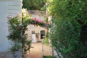 Bagatelle Bed & Breakfast en Touraine photo 21