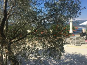 Villa Mare Apartments