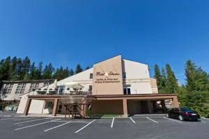 Hotel Slanica - 斯祖贝莱克