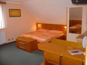 Wellness Penzion Palice