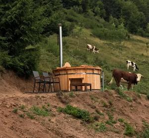 Maisons de vacances La Ferme du Nol : photos des chambres