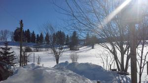 Haus Alpenhof Immenstadt Germany J2ski