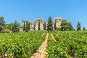 Hotels Hostellerie du Chateau des Fines Roches : photos des chambres