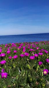 Casa Apartamento entre Mar y Montaña