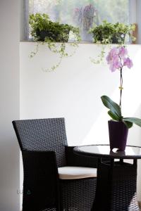 La Halte des Vignes - Route des vins dAlsace