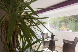 La Halte des Vignes - Route des vins dAlsace