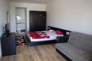 Deluxe Studio room in Leli Apartments