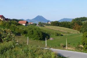 Triple Room with Private Bathroom room in Guest House Eco Vila Mila
