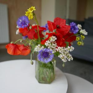 VierVaart Studio appartement