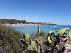 Casa Lisa a Porto Frailis img23