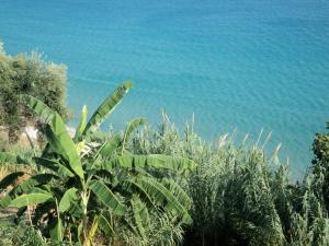 Anastasis Apartments Kefalloniá Greece