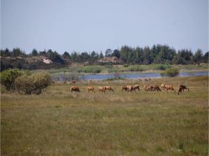 Holiday Home Stæhrsvej Blåvand V