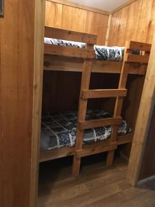 Family Suite room in Big Cypress