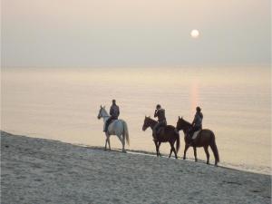 Holiday home Rewal Olszynowa