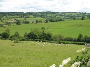 Gîte " Le Normand " Sa Vue Splendide
