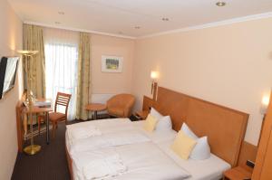 Double Room - Mountain and Street Side room in Seehotel Grauer Bär