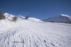 Chalets Chalet Pointu : photos des chambres