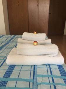 Tourist Rooms Sajovic