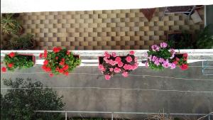 Rooms Ivka