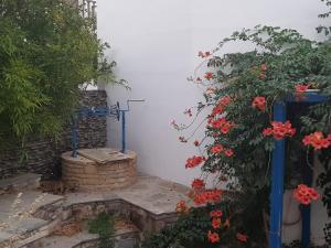 Despina's house Lasithi Greece