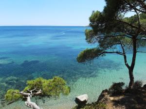 Galazio Asteri I Lesvos Greece