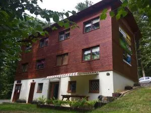 Lesní Penzion Vranov - Bítov