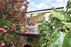 Apartmani Novosel
