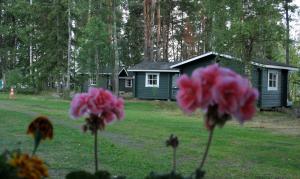 Tervakallio Camping