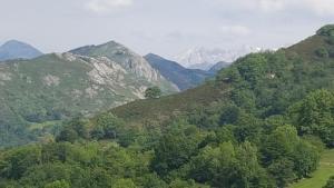 Apartamentos La Guertina