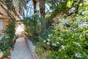 Apartments Pepi 