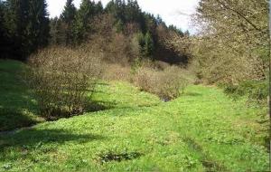 Hotel Haus Salzberg garni