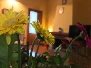 El Bulin de Horcajuelo