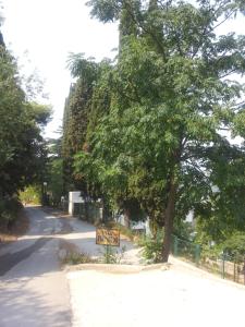 Family House Milic in Ulcinj