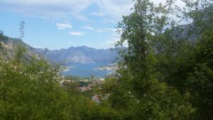 Apartments Panoramic Paradise