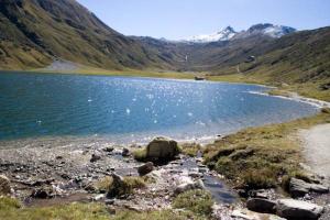 Ferienhaus Zum wilden Hannes