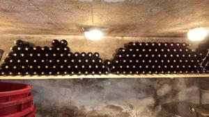 Apartment Burin Dvor