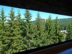 Apartment Sofia-Konaci