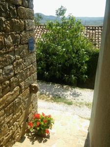 Apartment Staleta Tartuf 